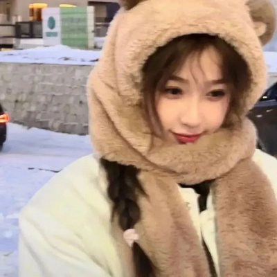 双生赤狐